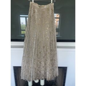 Anthropologie (Moulinette Soeurs) Silver Shimmer Maxi Skirt